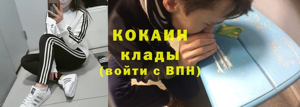 МДПВ Алзамай