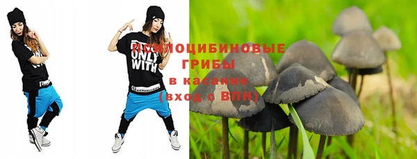 apvp Абдулино