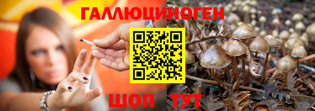 Псилоцибиновые грибы ЛСД Звенигород